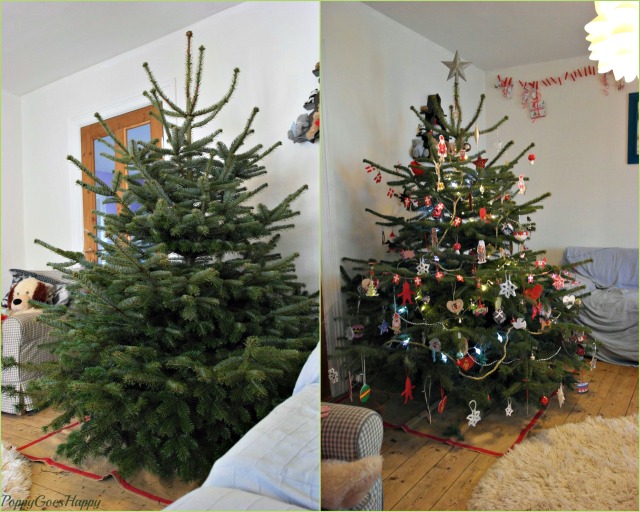 tree before and after